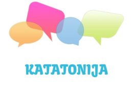 Katatonija - značenje, pojam